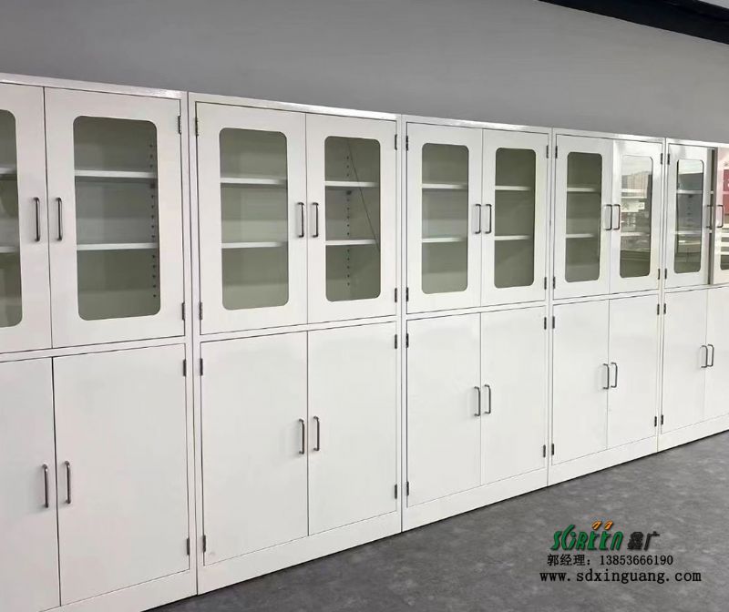 鑫廣實驗室設備存儲柜 耐酸堿試劑柜生產廠家